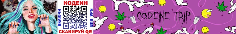 omg ссылки  Черняховск  Codein Purple Drank  где найти наркотики 